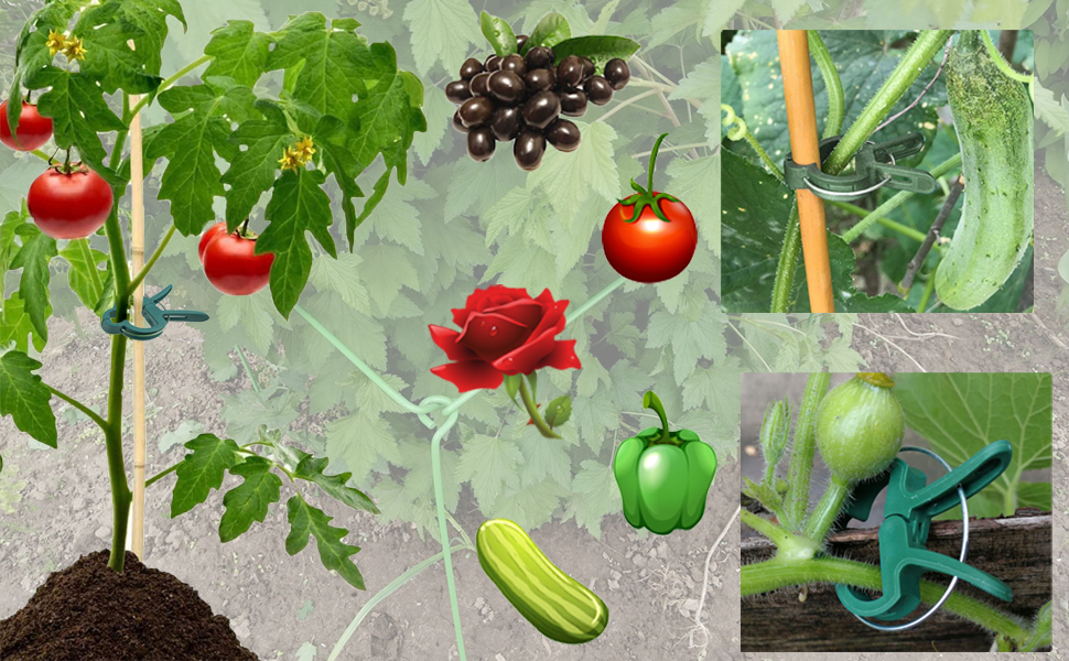 pinces à plantes