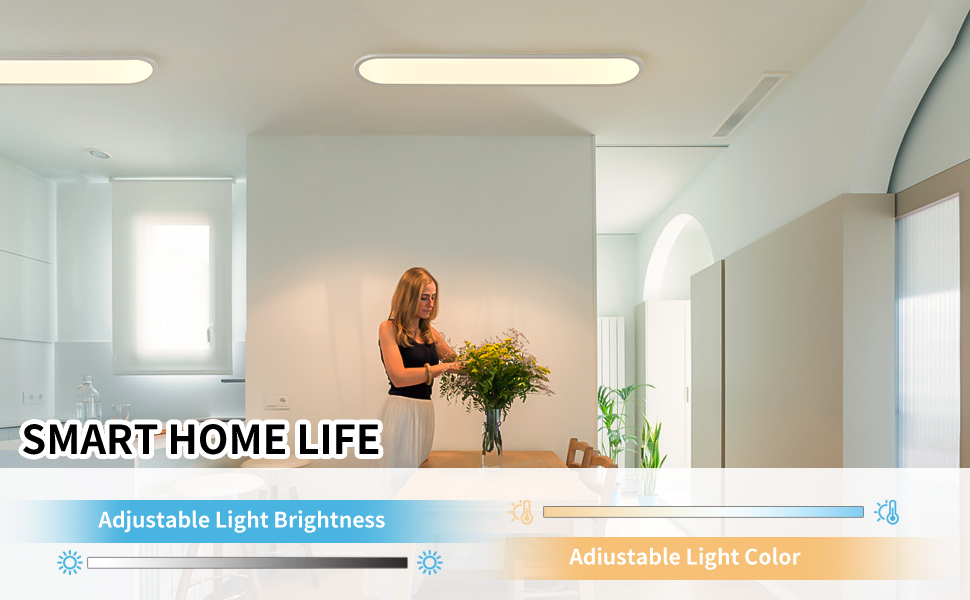 Ganeed Dimmable LED Ceiling Light