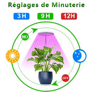 plant lamp