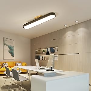 Eiinee Modern Dimmable Ceiling Light, Acrylic Linear LED Ceiling Lamp with Remote