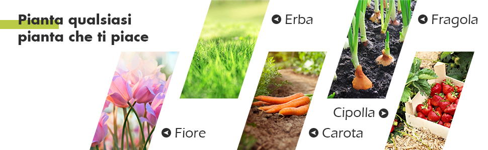 GIANTEX Serra Da Balcone In Legno Di Abete, Piccola Serra Per Piante, Mini Serra In Policarbonato Trasparente, Giardino E Terrazzo, Con Luce Adeguata, Naturale (60 X 45 X 100 Cm) -Vendite VIDAXL AAHKMJXYDAFdJAOAIMEbOAchlkWZ0oakZn uVZ0mPidMNbILvCvspZ4oG3fPgIqc1P26RdPiG8KHKUtblW5 ULKvLD1OHzwX jolGWPZGyLZfL4jgdIcI ZduCnj ud8eerFfKzLwKYhE7h6iPtKEuoKsp1m0m2ObbpliUR4tgTp9ke5876mdzvKm9yNvu PikBCEop3PBnrQnUpTKDWjobi