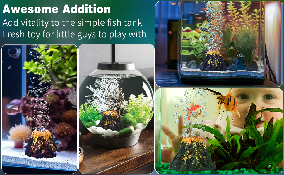 Composite of four aquarium images showcasing decorative elements like colorful plants, rocks, and ornaments. Tanks feature vibrant fish and diverse aquatic environments for visual interest.