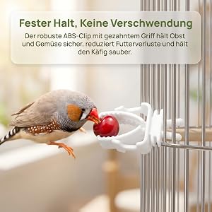 Text reads 'Fester Halt, Keine Verschwundung' and product description in German. Kitchen scene showing dried herbs, fruits, and window with light streaming through vertical slats.