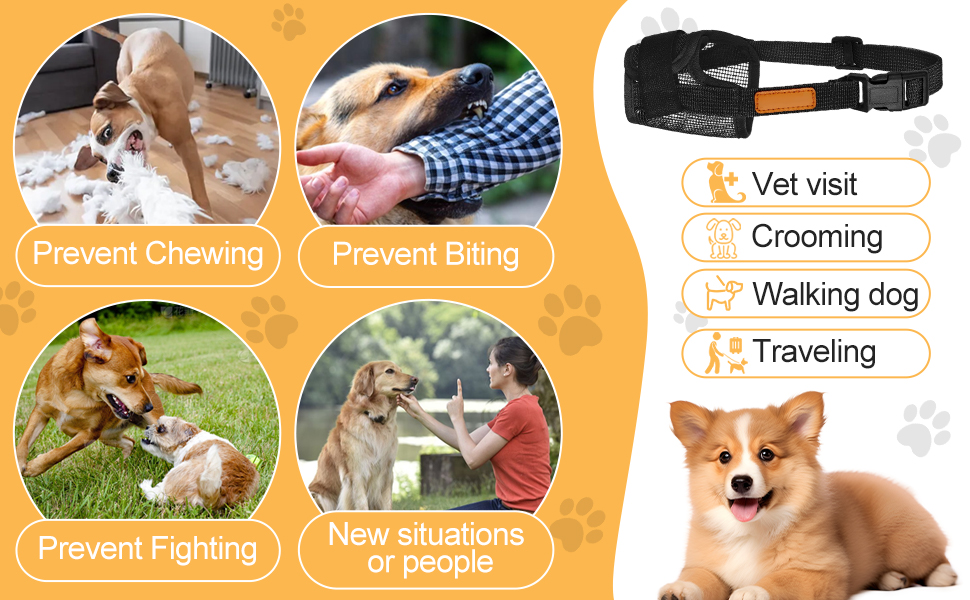 Text reads 'Vet visit', 'Grooming', 'Walking dog', 'Traveling'. Series of illustrations showing various pet care activities with icons and text labels.