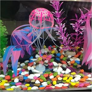 Aquarium display featuring glowing jellyfish decorations in pink and blue colors, set against colorful gravel and purple aquatic plants.