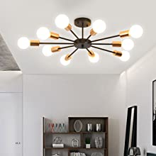 Dining room Lights Ceiling