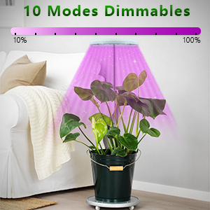 plant lamp