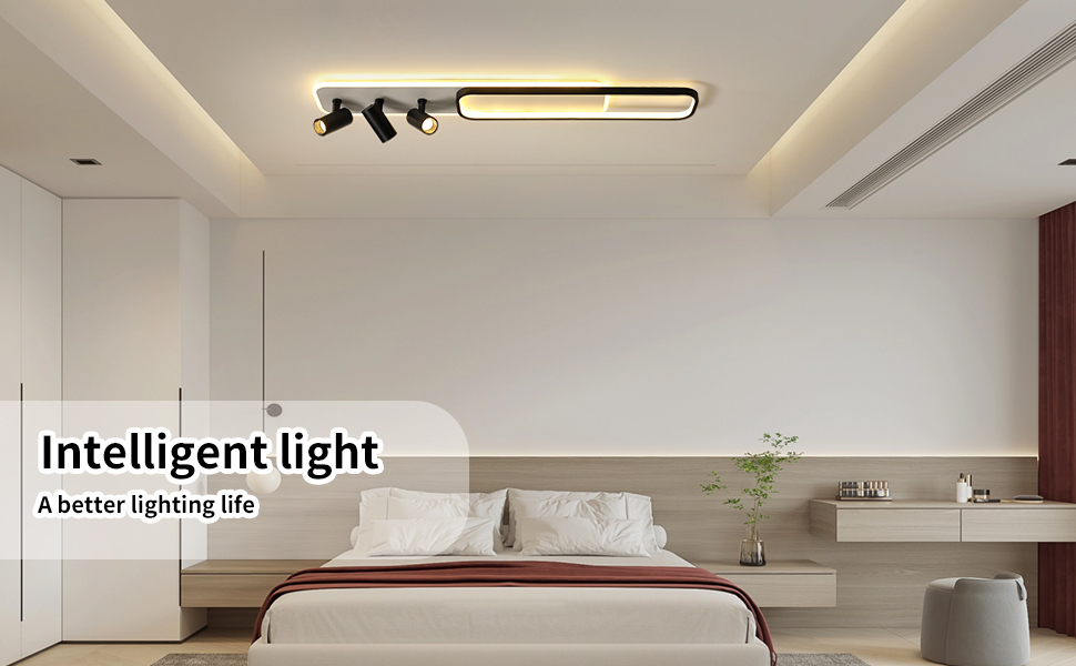 Ceiling Light