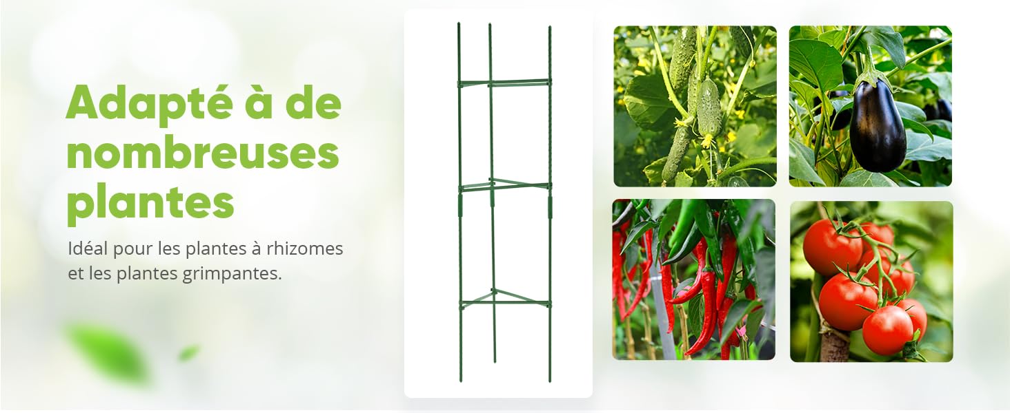 Le texte se lit comme suit : « Adapté à de nombreuses plantes ». Présentoir en treillis de jardin montrant une structure de support métallique à côté de photos de plantes vertes et de tomates rouges.