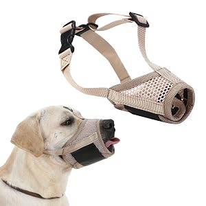 dog muzzle