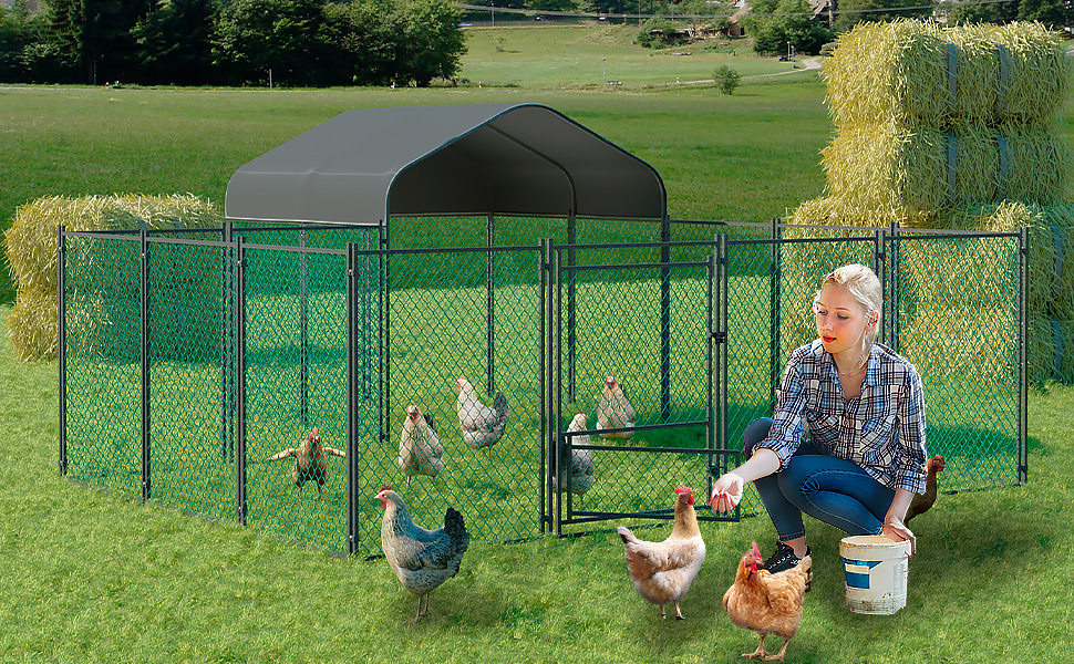 recinto galline esterno gabbie per galline ovaiole pollaio gabbia per galline rete pollaio