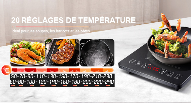 avec 20 réglages de température, affichée à côté d'images de plats cuisinés. Le panneau de commande numérique affiche une plage de température de 50 °C à 240 °C. Convient aux soupes, aux viandes et aux pâtes