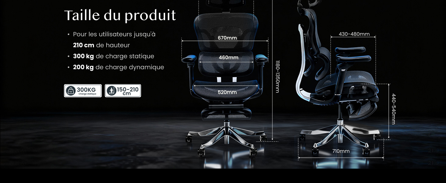 FlexiSpot ErgoX Max 7