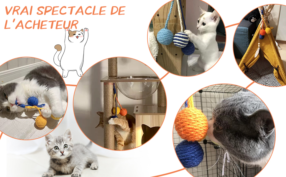  balle jouet pour chat 