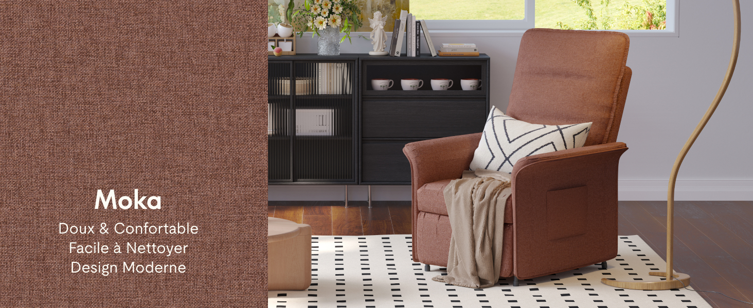 marron avec accoudoirs incurvés et dossier droit sur un tapis à motifs. Coussin décoratif et couverture visibles. Armoire de rangement noire en arrière-plan.