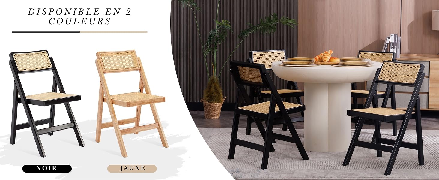 Fauteuil de Salon