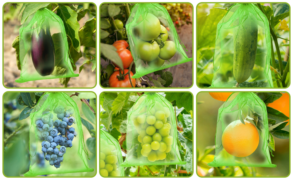 Sac de Protection de Raisin