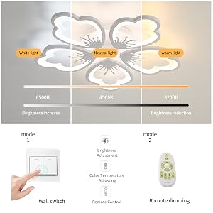 ceiling light for living room