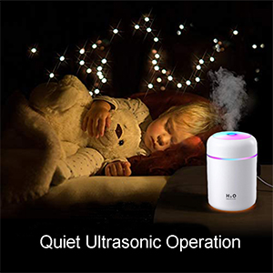 Mini Cool Mist Humidifier
