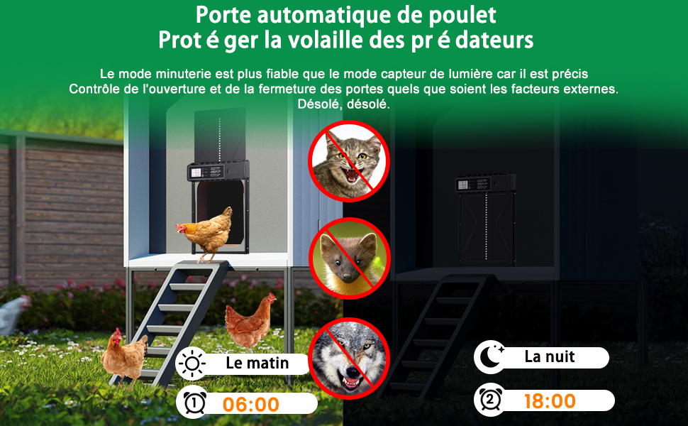 Chicken coop door