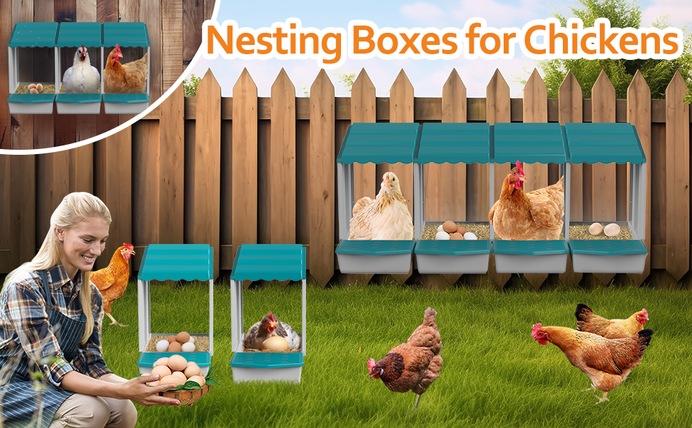 cajas nido para pollos