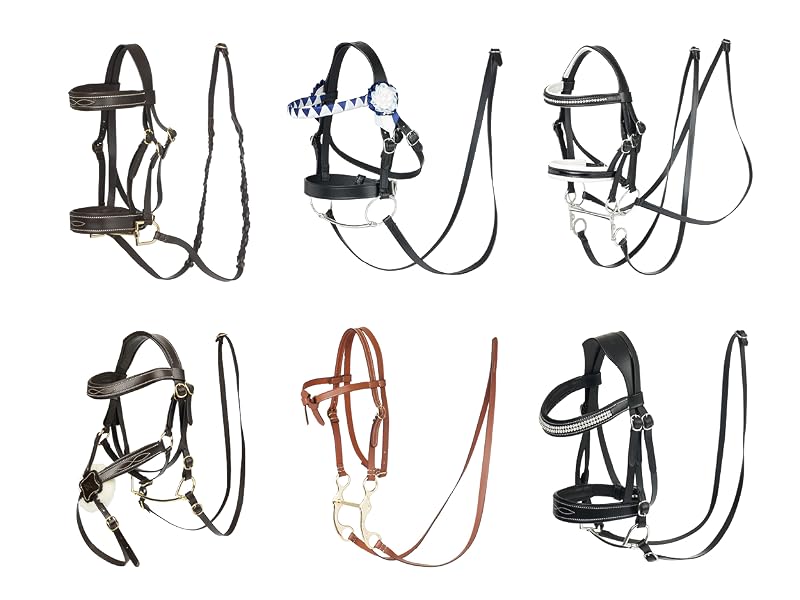 Collection of six horse bridles and reins in black and brown leather, shown in technical diagram style layout.