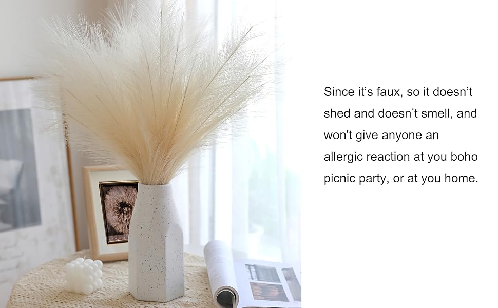 erba della pampa beige