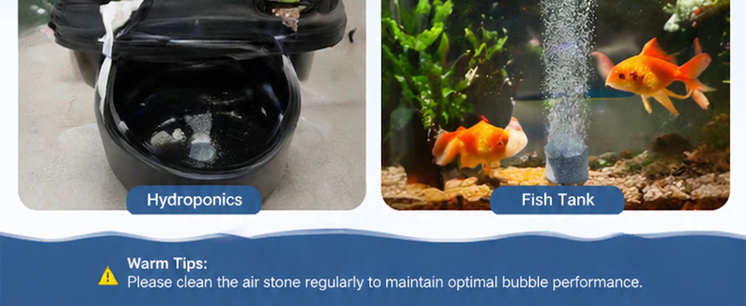 aplus content image