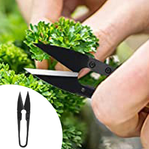 bonsai tool set