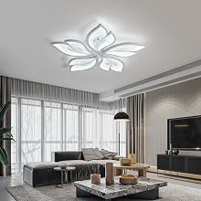 ceiling light for living room