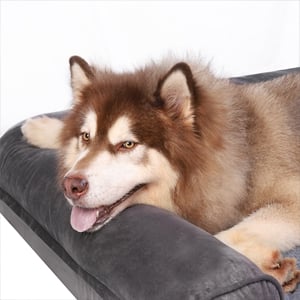 panier chien xxl anti stress rectangulaire 100 120 boxer tapis lit canapé canape matelas