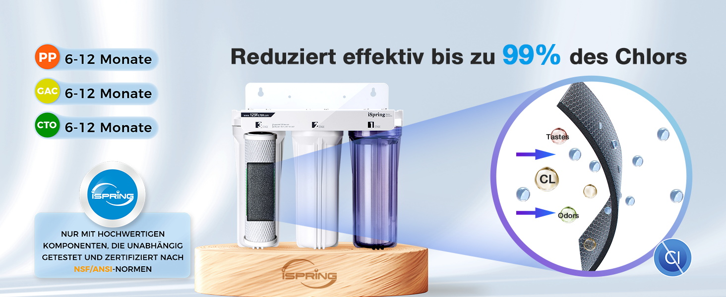 iSpring US31