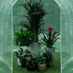 green house