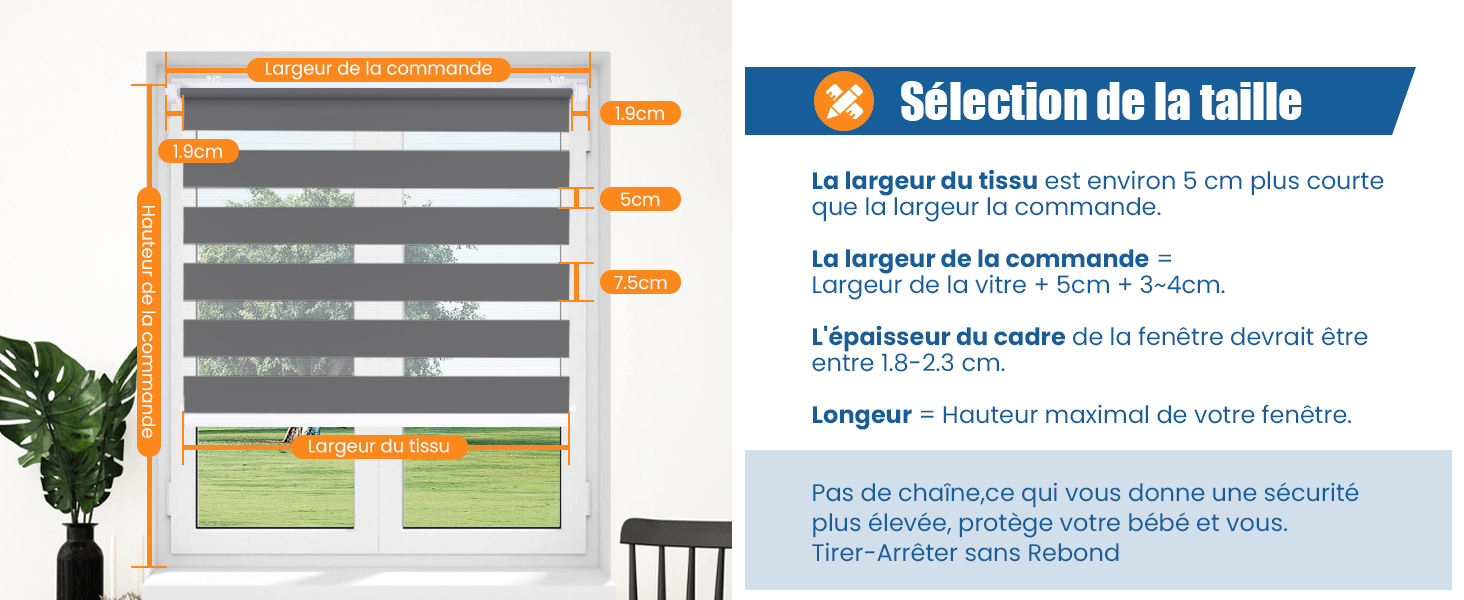 taille
