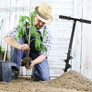 Gioco di foreste per il giardino