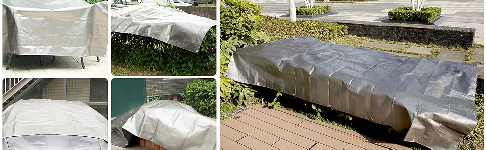 Tarp