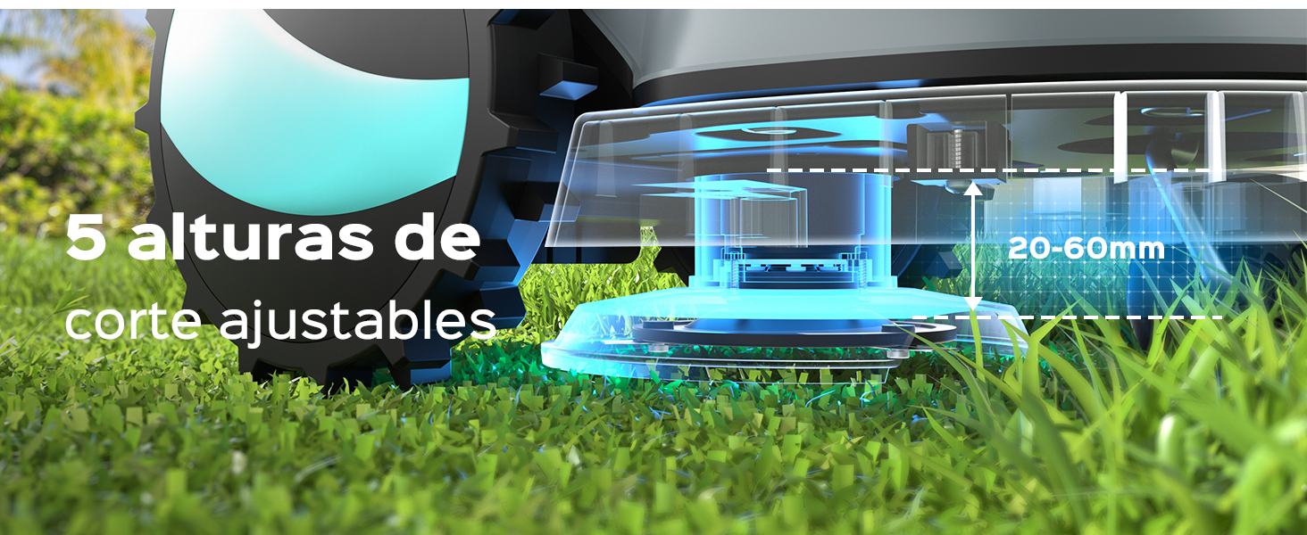 aplus content image