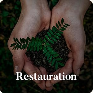Restauración