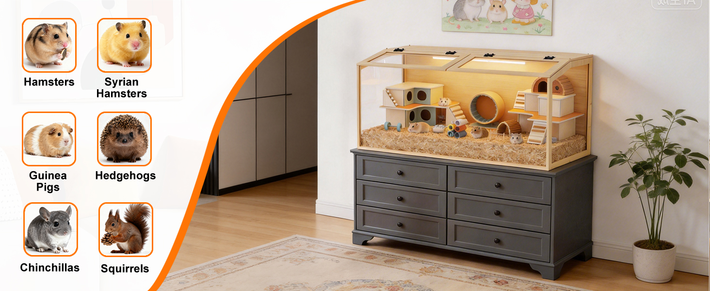 Set di icone che mostra quattro categorie di prodotti con illustrazioni, visualizzate sopra il contenitore portaoggetti in tessuto grigio con piante accanto nell'ambiente interno della casa.