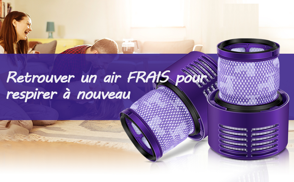 Morpilot 2 Pack Dyson V10 Filtre de Rechange pour Dyson Aspirateur