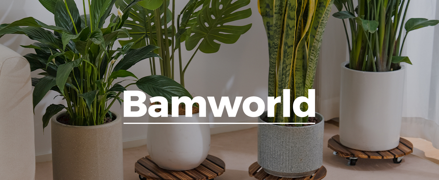 Assortiment de plantes d'intérieur en pot sur des dessous de verre en bois. Les plantes comprennent le monstera et d'autres variétés tropicales dans des pots blancs et texturés. La superposition de texte indique « Bamworld »