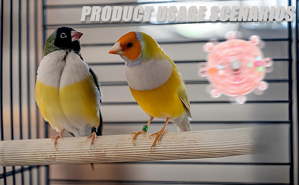 aplus content image