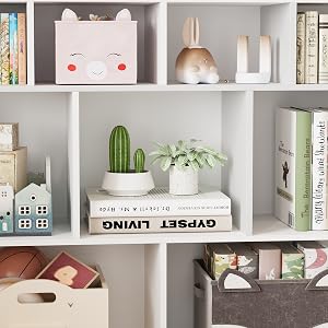 kids bookcase