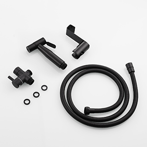 Acier Inoxydable Kit Douchette Toilette