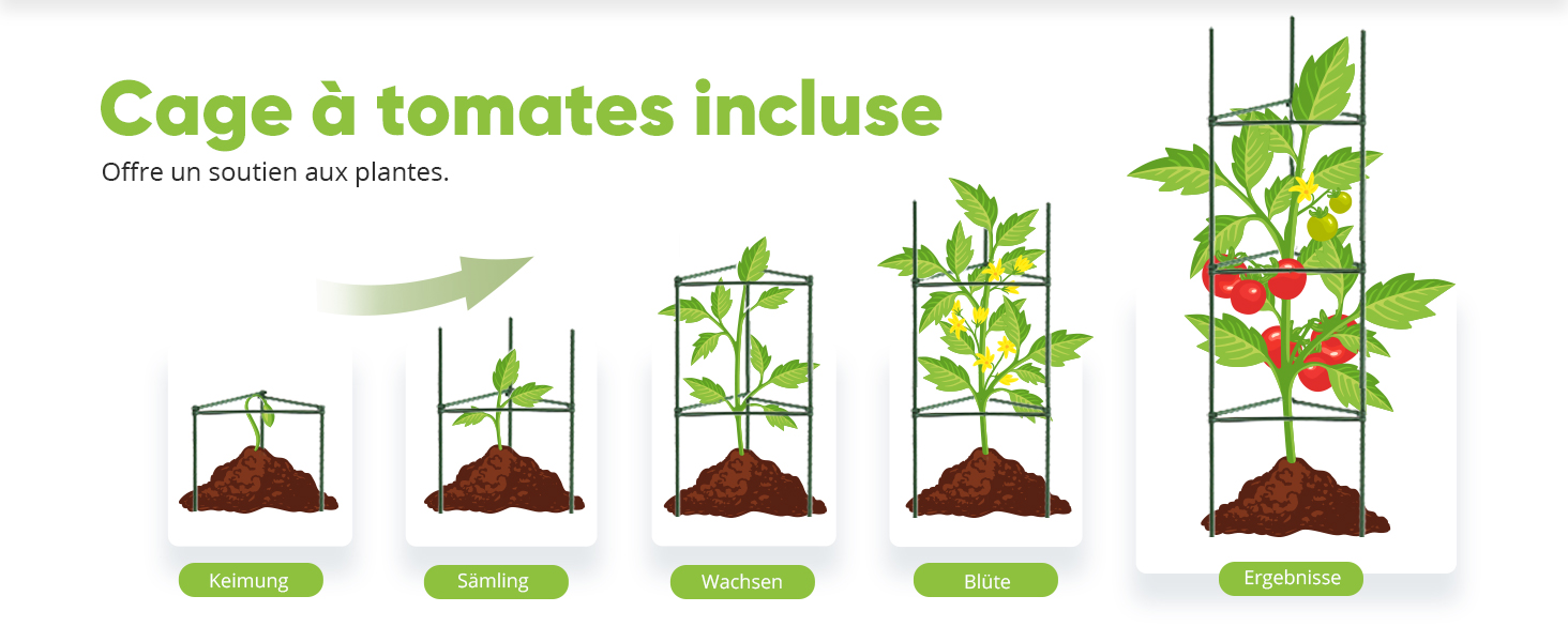 Le texte indique « Cage à tomates incluse ». Schéma montrant des instructions de culture des plantes étape par étape avec des icônes vertes et des illustrations illustrant les étapes de plantation.