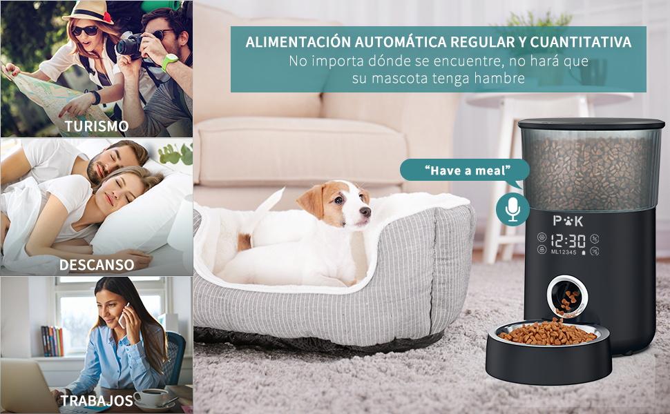 Distributeur de Croquettes pour Chat