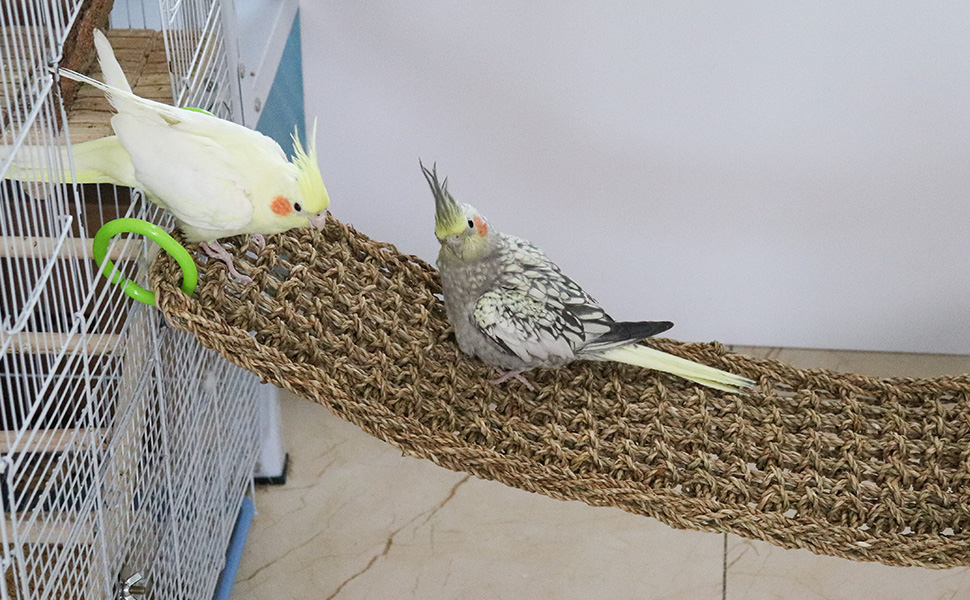 Bird Seagrass Mat