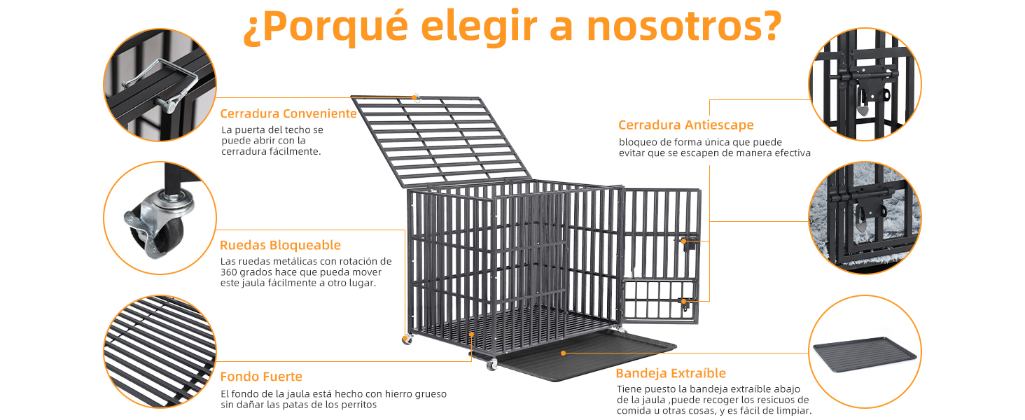 Bingopaw Jaula Perro fuerte