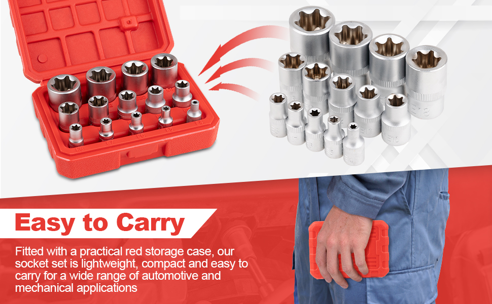 14-Piece E-TORX Socket Set