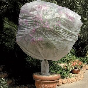 Capuchon pour plantes en pot TENAX SACCOCCLIMA